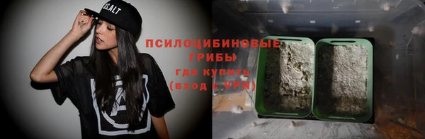 PSILOCYBIN Магадан