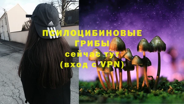 PSILOCYBIN Магадан