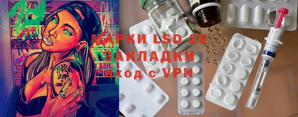 прущие грибы Ачинск