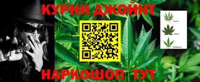 индика Заводоуковск