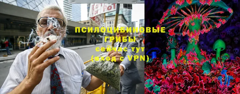 купить закладку  Кудымкар  mega ССЫЛКА  Галлюциногенные грибы MAGIC MUSHROOMS 