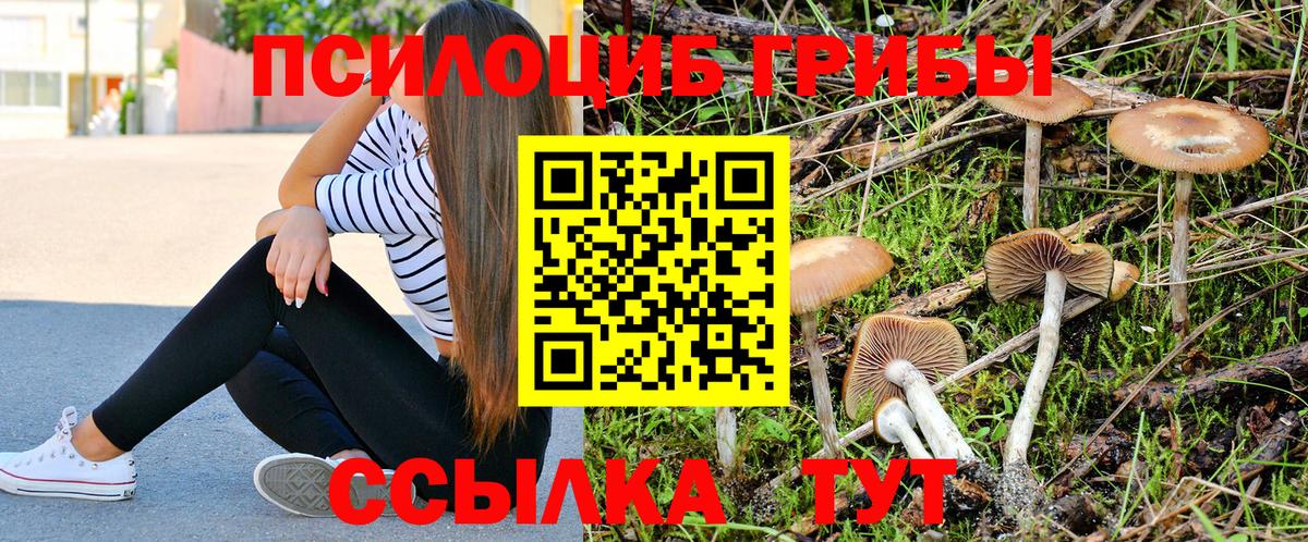 A-PVP Кудымкар